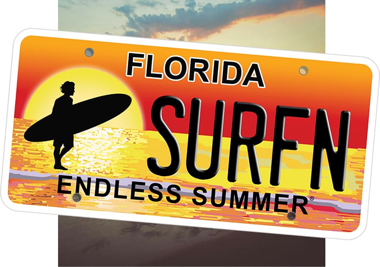 endless summer® plate with beach background behind it