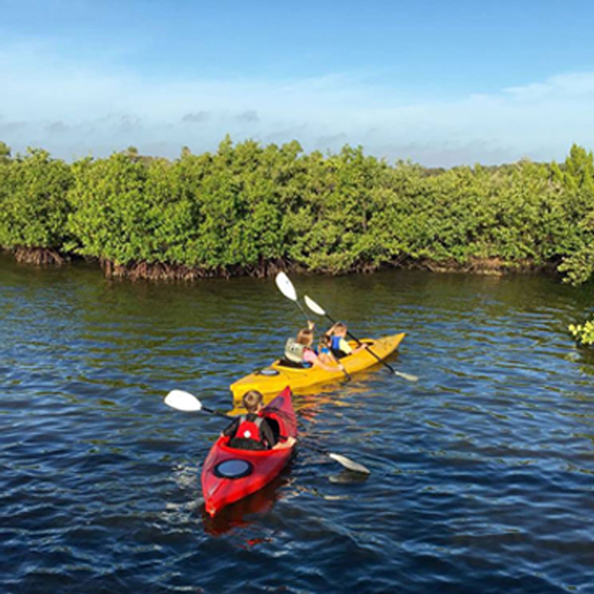 educational kayak tour