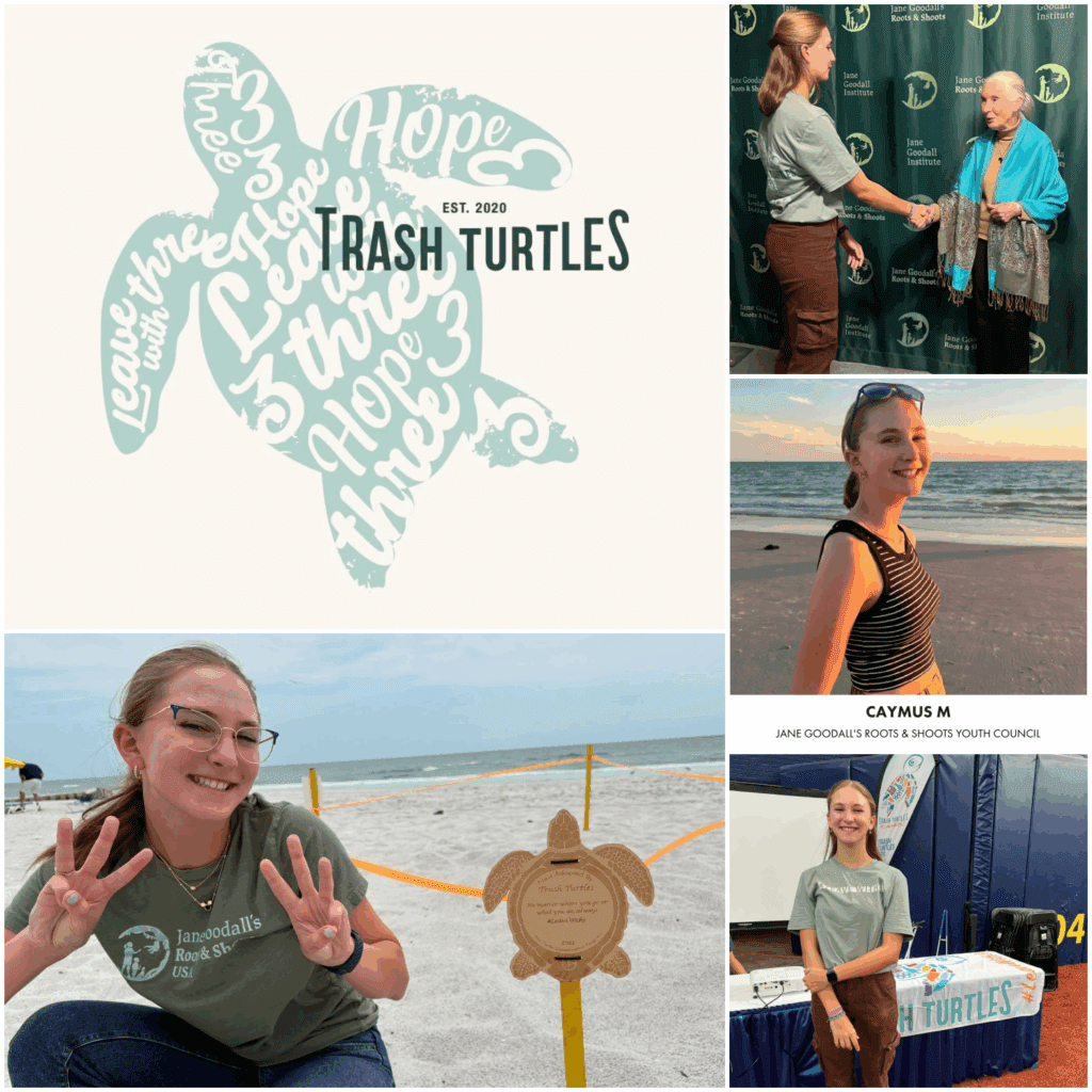 Collection of photos and logo of Trash Turtles