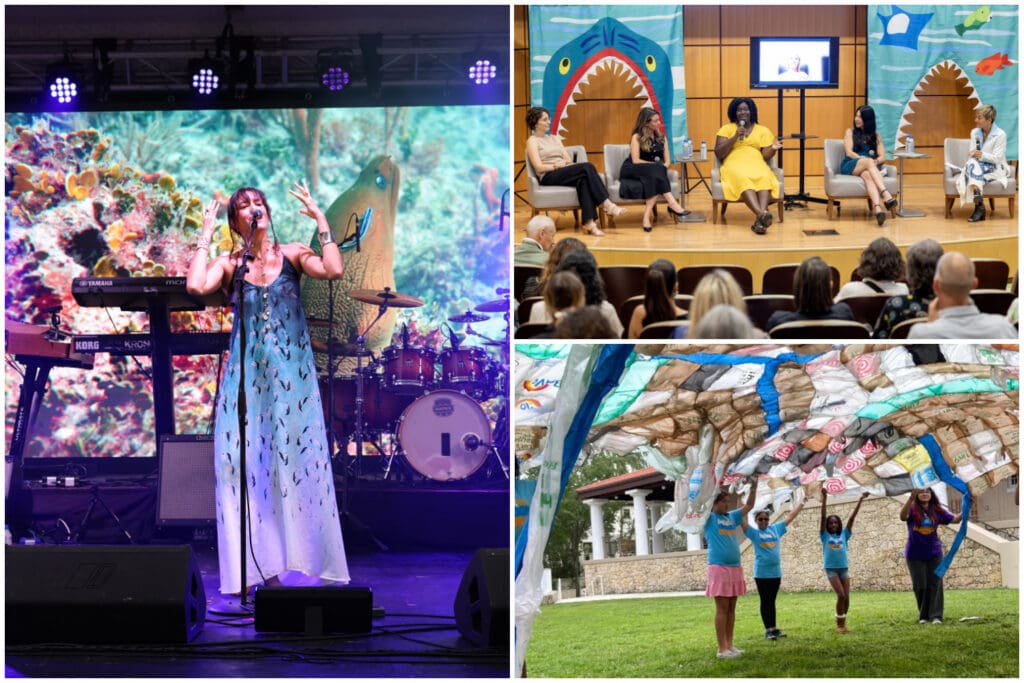 collage of pictures of different activites at World Ocean Celebration