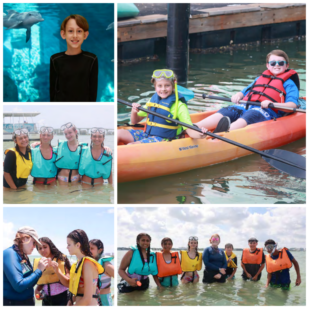 collage of images of campers at Clearwater Marine Aquarium summer of 2026