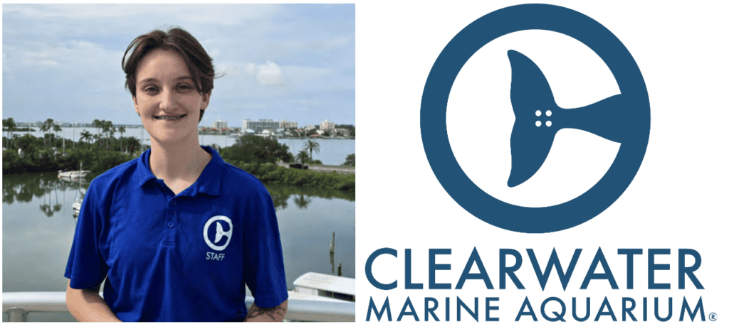 Clearwater Marine Aquarium Intern